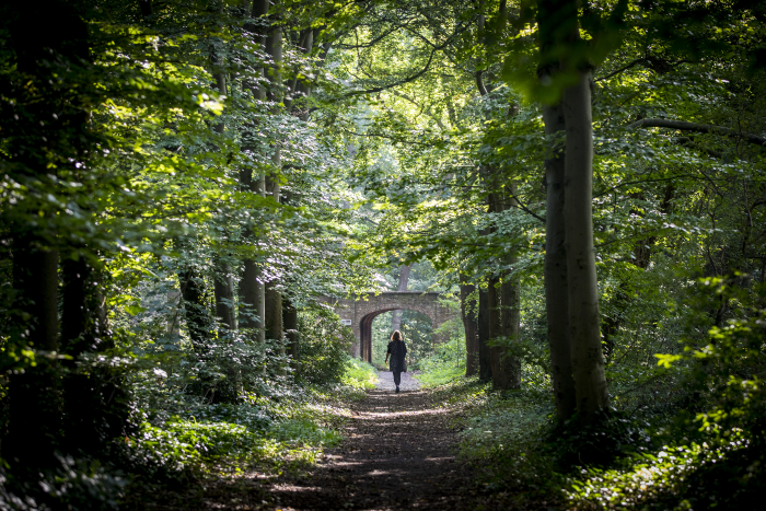 Woman walking under bridge in Park Sorghvliet