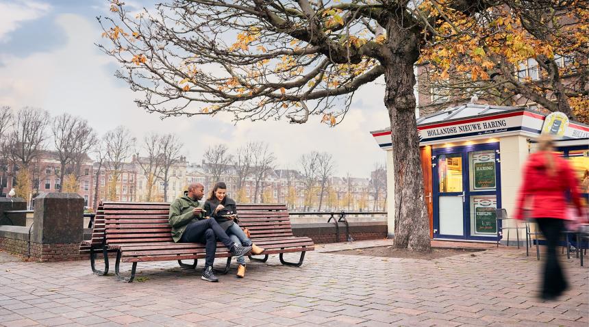 the hague daily life
