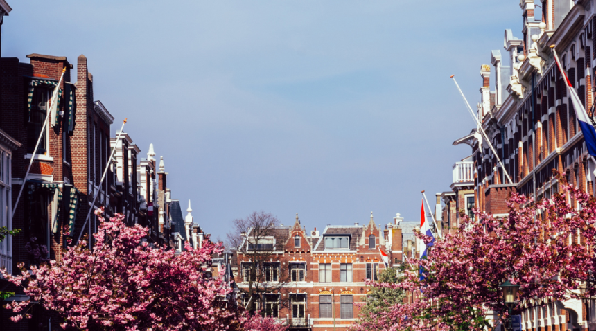 Homes in The Hague