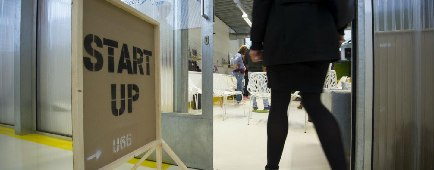 startups the hague region