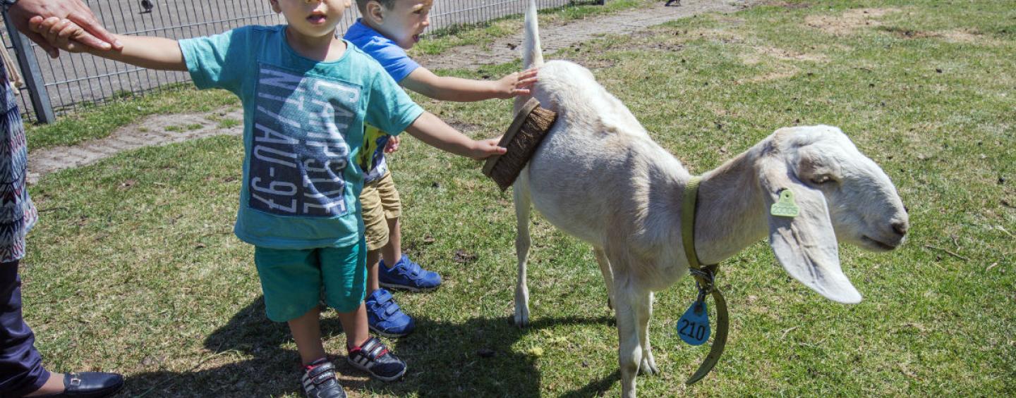 Fun things to do The Hague region