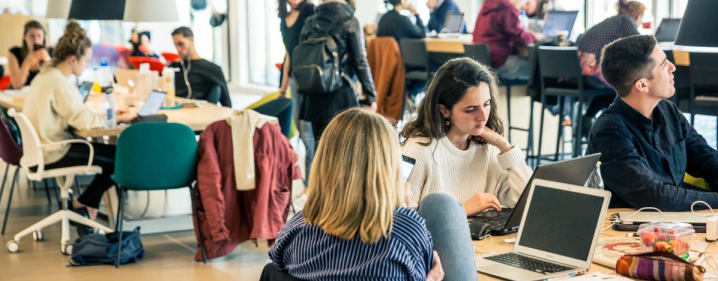 Higher education The Hague region