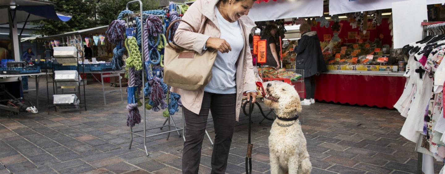 Pets The Hague region