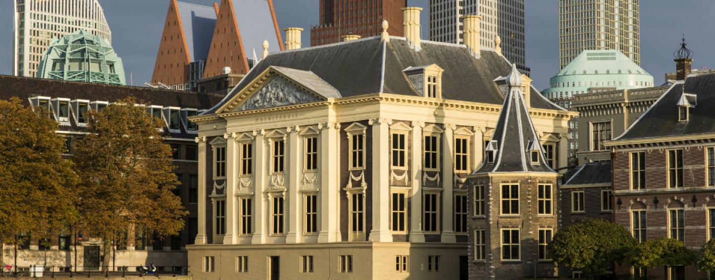 Politics Netherlands The Hague region