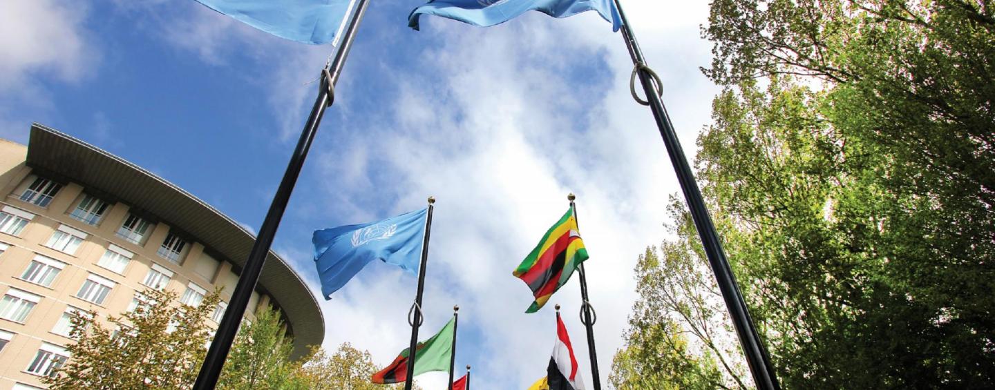 UN and country flags hanging from poles seen from below against a background of blue sky and clouds