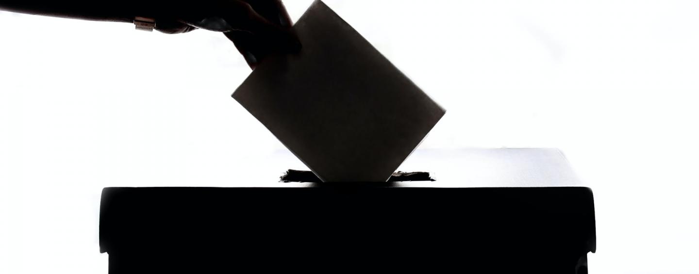 a silhouette of someone voting