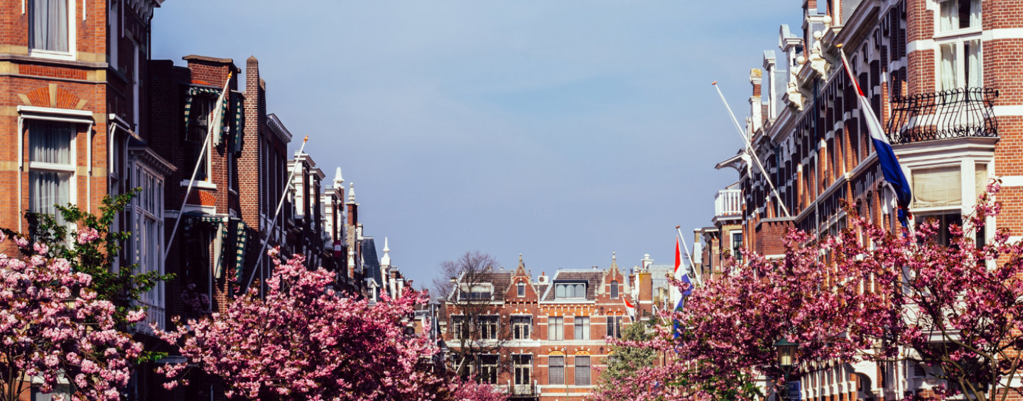 Homes in The Hague